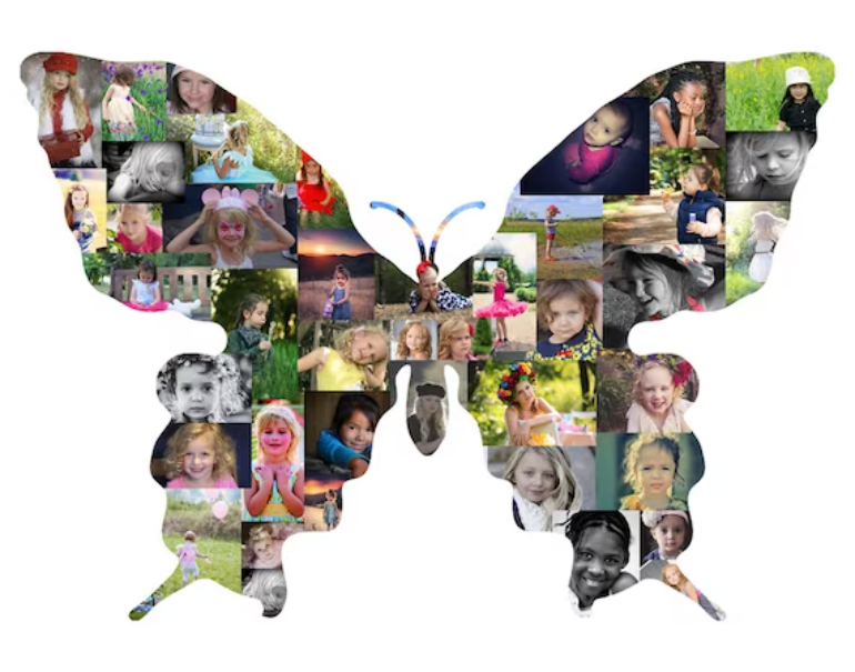 A Butterfly-Shaped Collage to Capture Your Beautiful Moments