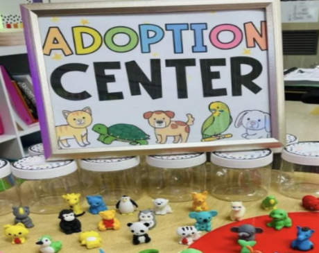 Adoption System Desk Pet