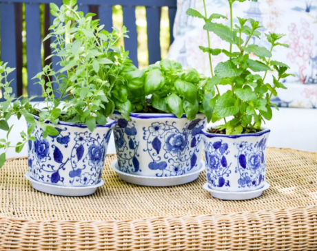 Blue and White Planters