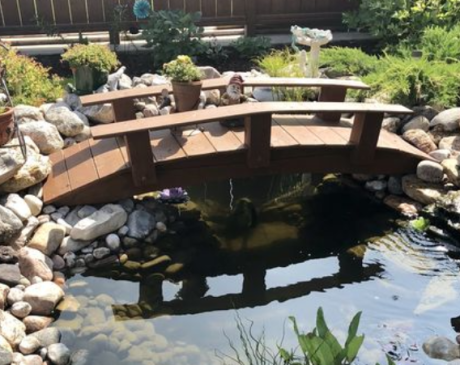 Bridge Pond Design