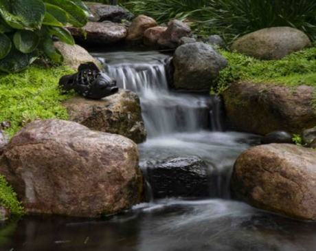 Descended Pond Design