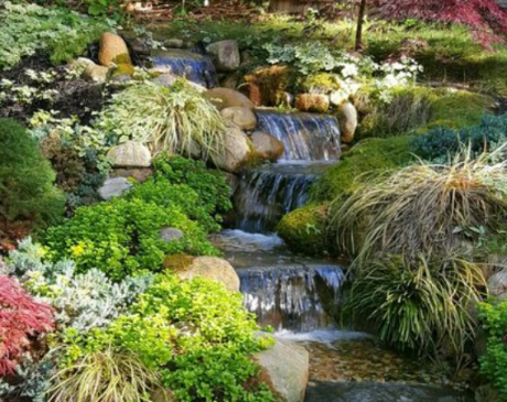 Layered Pond Design