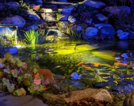 Lighted Pond Design