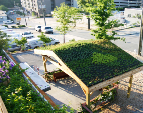 Living Roof