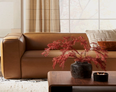 Matching Accents with Light Brown Couch