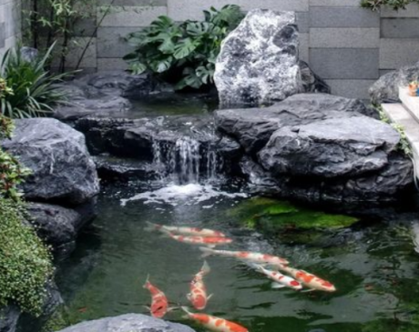 Mediterranean Pond Design