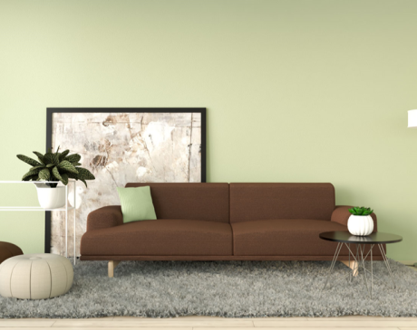 Olive Green Wall Color