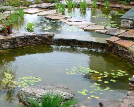  Pathway Pond Design