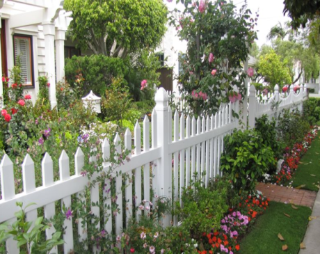 Picket Fence