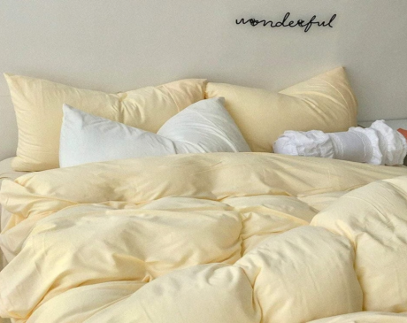 Ruffled Bedding and Throw Pillows