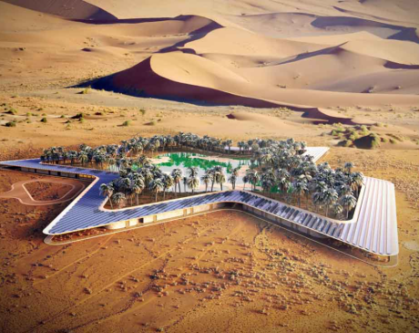 The Desert Oasis: The Eco-friendly Houses