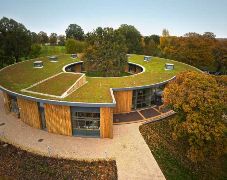 The Green Roof Residence