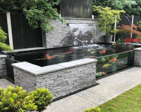 Wall Pond Design