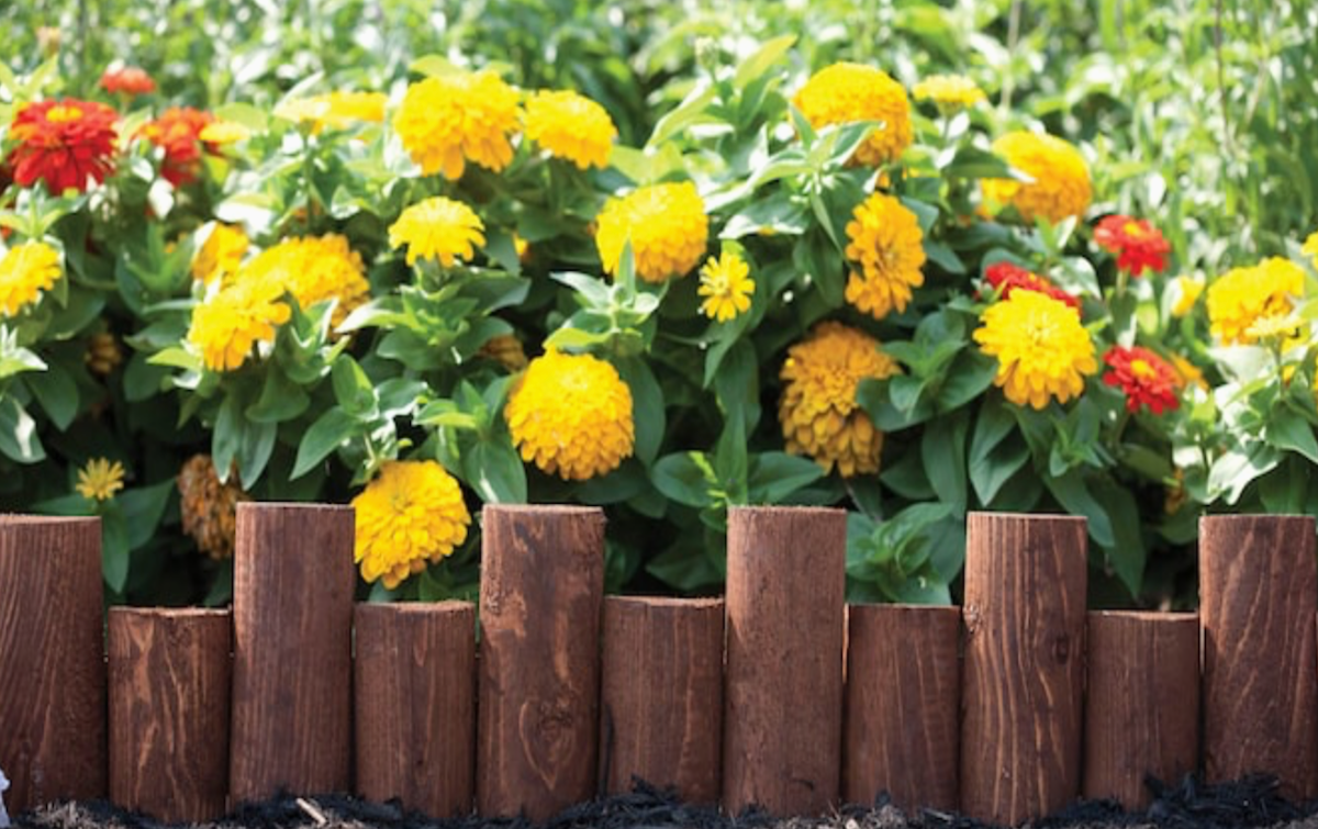 A Wooden Garden Bed Edge