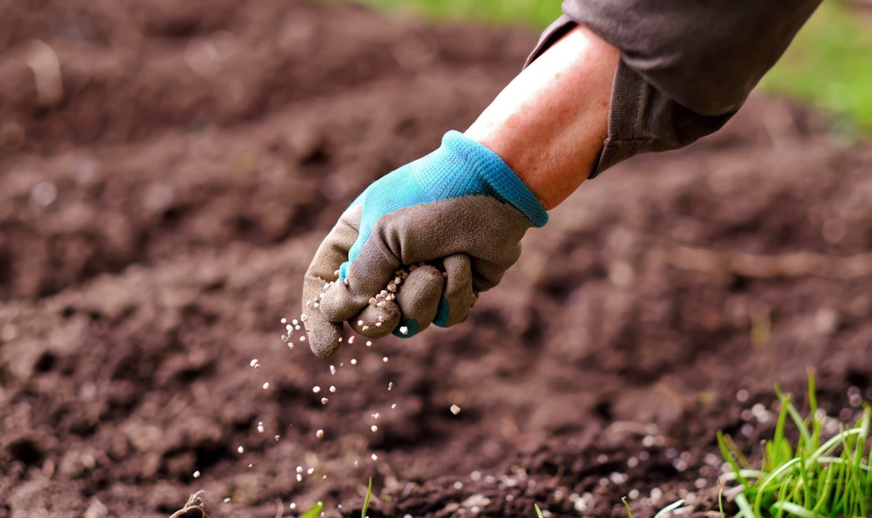 Applying Nitrogen Fertilizer