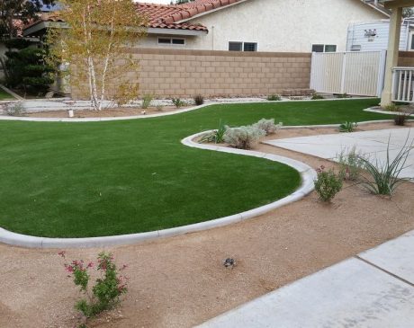 Artificial Turf Desert Landscaping