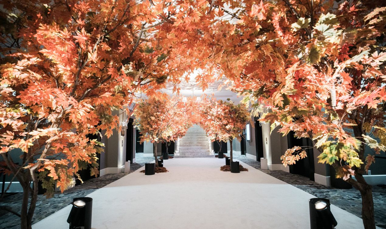 Autumnal Foliage Arch