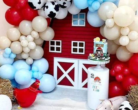 Barnyard Baby Shower Theme