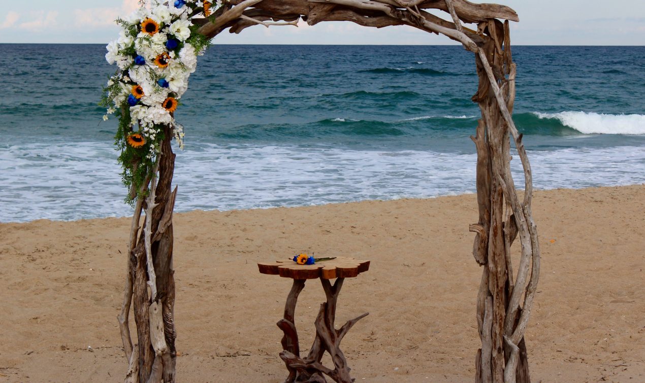 Beachside Driftwood Arch