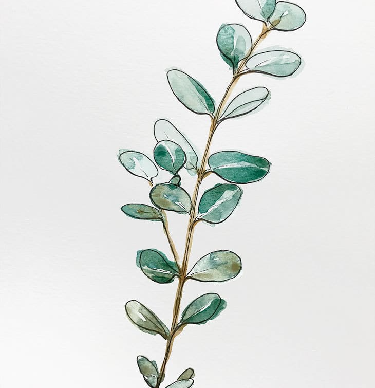 Botanical Plant Painting