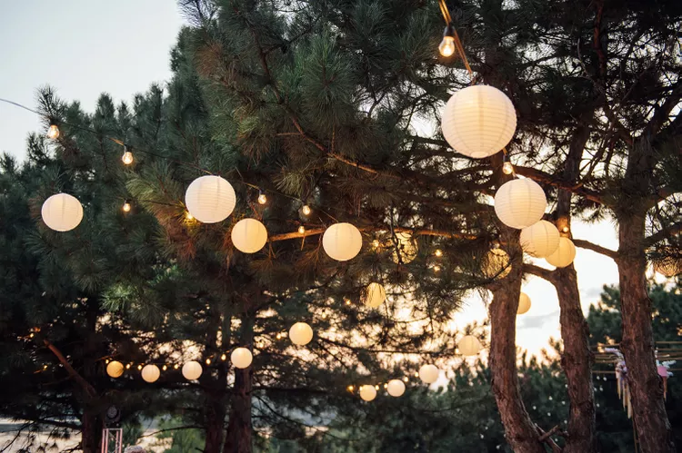 Bring Tangled Magic with Paper Lanterns