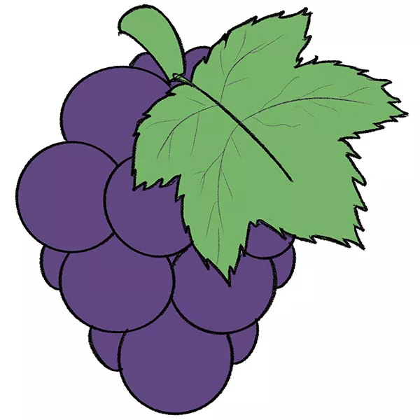 Bunch of Grapes .jpg