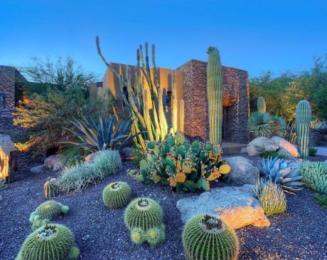 Cactus Valley Landscaping