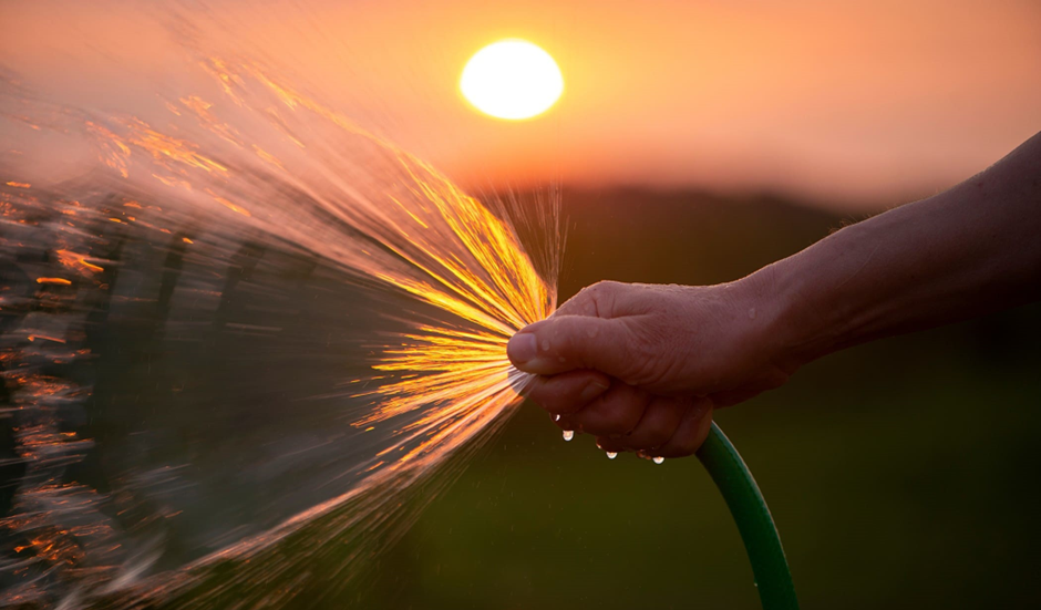 Controlling Soil Wetness