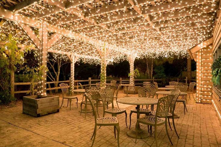 Dine Under the Canopy