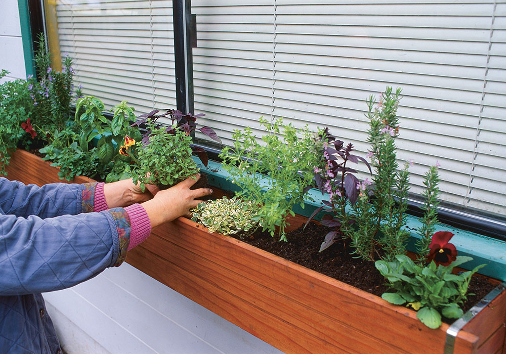 Fragrant Herbs