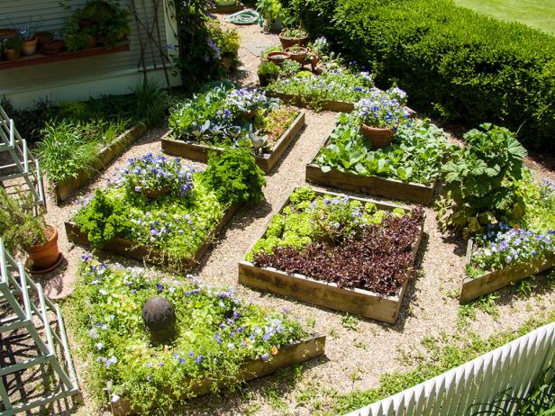 Multiple Garden Beds