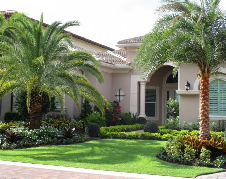 Palm Tree Landscaping