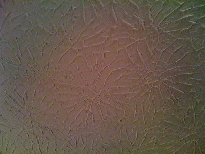 Rosebud Wall Texture