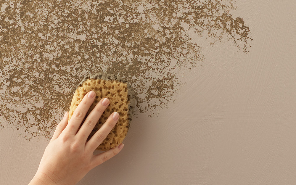 Sponge Wall Texture