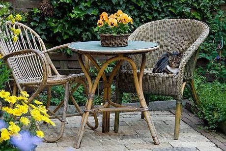 Surround the Patio with Plants