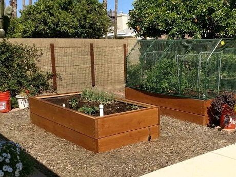 Vegetable Beds for Landscaping
