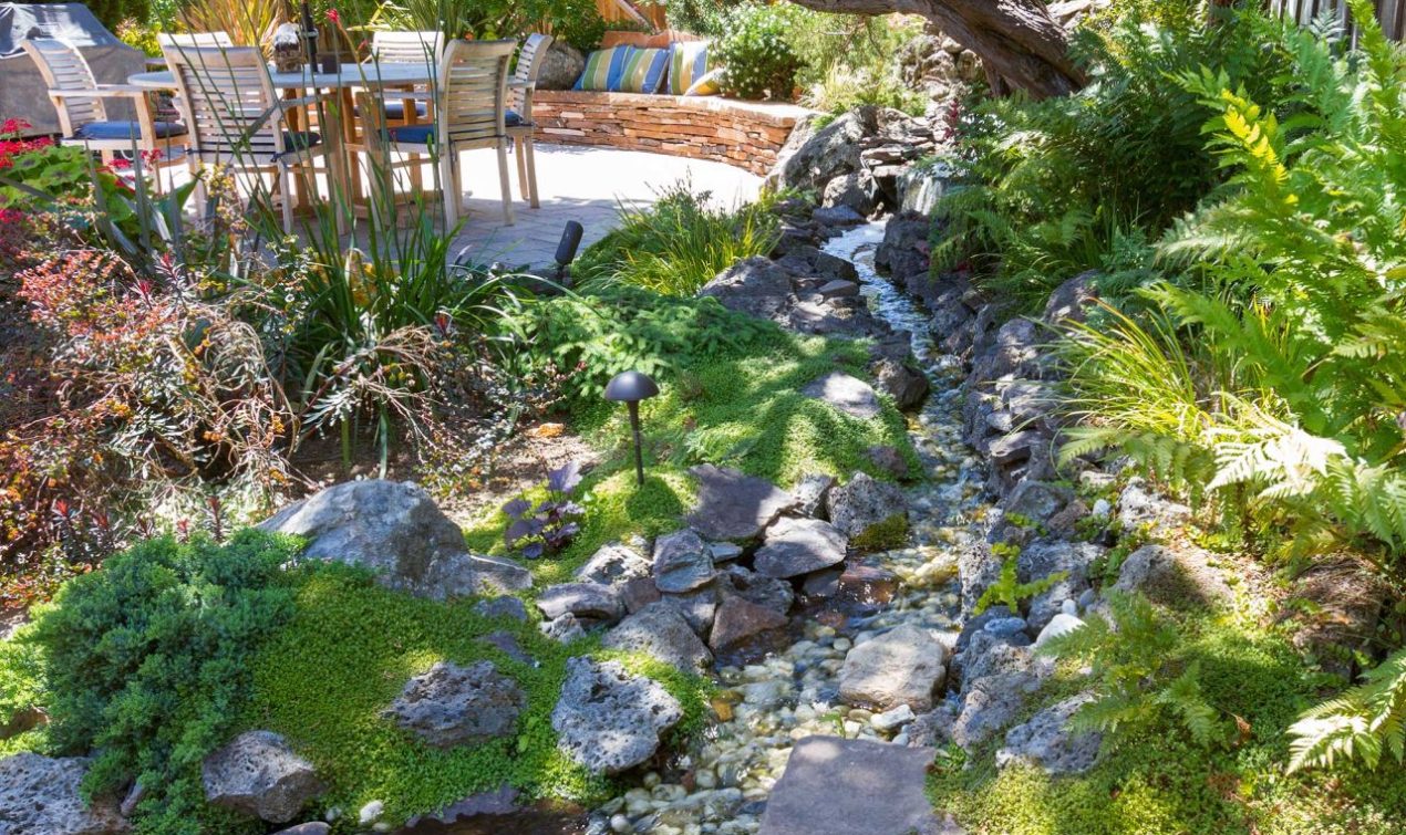 Water Features in The Backyard