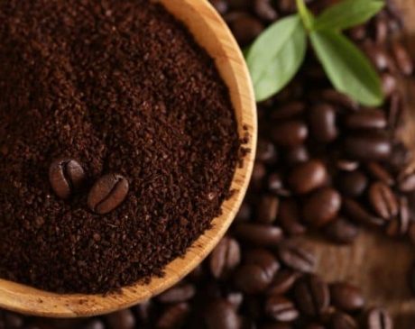 Why Use Coffee Grounds for Plants?