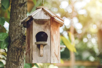 Wooden Birdhouses