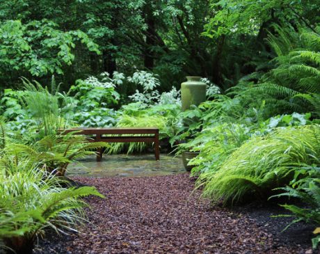 Transform Your Yard with16 Captivating Shade Garden Designs