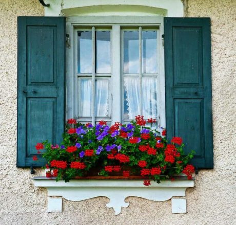 Flower Box Ideas Inspired By Charleston Window Boxes