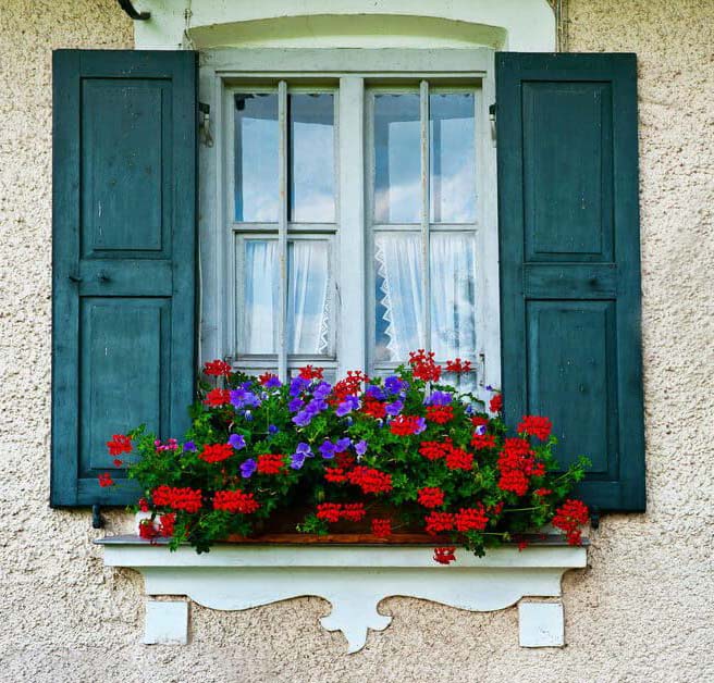 13 Flower Box Ideas that Capture the Essence of Charleston